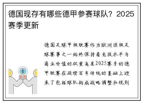 德国现存有哪些德甲参赛球队？2025赛季更新